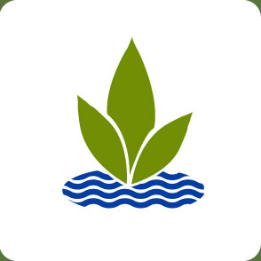 Szapary Strategies logo icon
