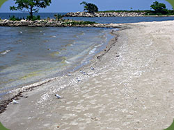 Pontchartrain Beach